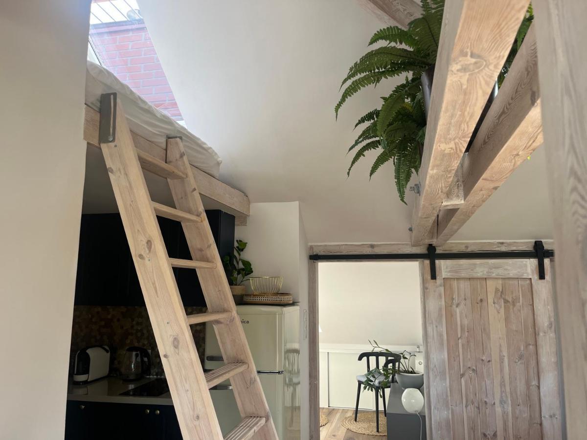 Attic Appart Torun Exterior photo